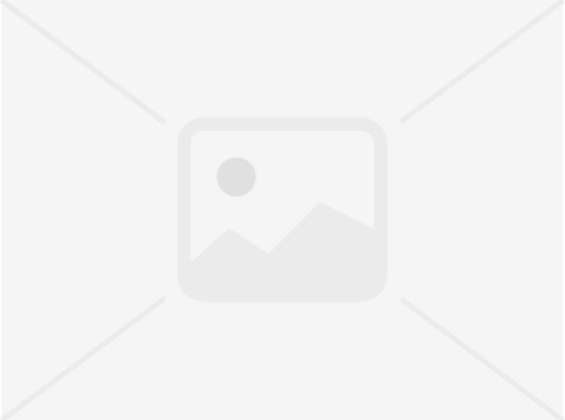 Maler Fleig AG - Maler Aargau - Maler Rheinfelden - Maler Hellikon - Lasuren - Gipserarbeiten - Fassaden - Garagentor - Gerüstbau - Beschriftungen - Schimmelsanierungen - Giessharz - Bodenbeschichtungen - Borkenkäferbekämpfung - Bitumenanstrich - Brandabschottungen - Farbkonzept durch Fotomontage - Maler und Gipser Verband - Maler Lehrbetrieb - Malerbetrieb Schweiz