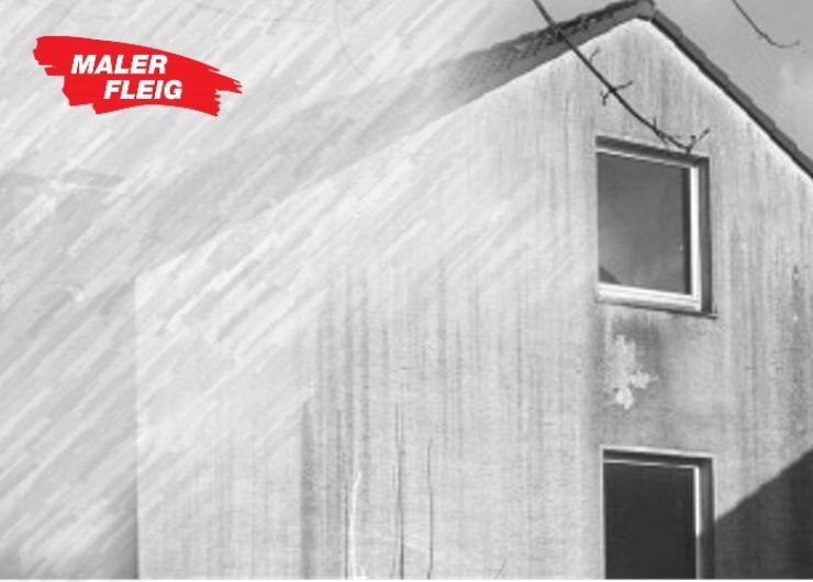 Maler Fleig AG - Maler Aargau - Maler Rheinfelden - Maler Hellikon - Lasuren - Gipserarbeiten - Fassaden - Garagentor - Gerüstbau - Beschriftungen - Schimmelsanierungen - Giessharz - Bodenbeschichtungen - Borkenkäferbekämpfung - Bitumenanstrich - Brandabschottungen - Farbkonzept durch Fotomontage - Maler und Gipser Verband - Maler Lehrbetrieb - Malerbetrieb Schweiz