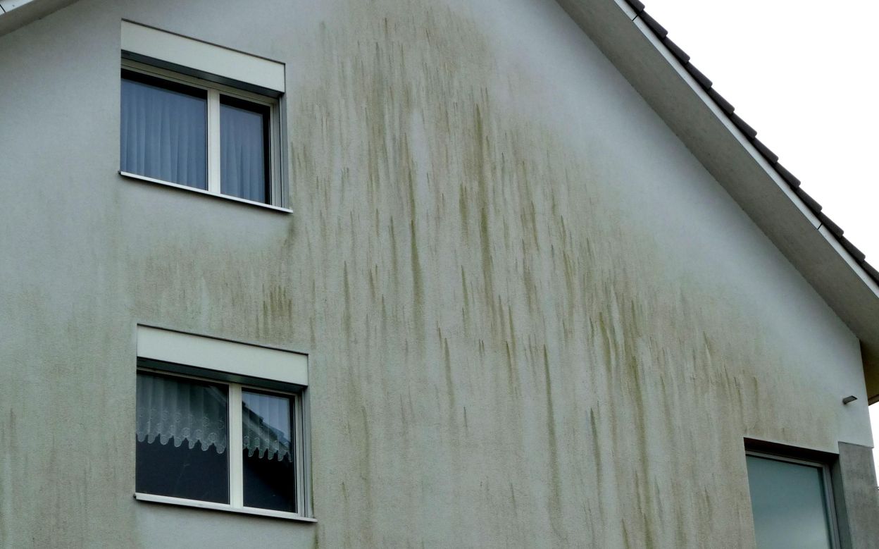 Maler Fleig AG - Maler Aargau - Maler Rheinfelden - Maler Hellikon - Lasuren - Gipserarbeiten - Fassaden - Garagentor - Gerüstbau - Beschriftungen - Schimmelsanierungen - Giessharz - Bodenbeschichtungen - Borkenkäferbekämpfung - Bitumenanstrich - Brandabschottungen - Farbkonzept durch Fotomontage - Maler und Gipser Verband - Maler Lehrbetrieb - Malerbetrieb Schweiz