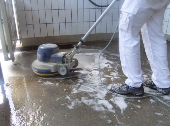 Maler Fleig AG - Maler Aargau - Maler Rheinfelden - Maler Hellikon - Lasuren - Gipserarbeiten - Fassaden - Garagentor - Gerüstbau - Beschriftungen - Schimmelsanierungen - Giessharz - Bodenbeschichtungen - Borkenkäferbekämpfung - Bitumenanstrich - Brandabschottungen - Farbkonzept durch Fotomontage - Maler und Gipser Verband - Maler Lehrbetrieb - Malerbetrieb Schweiz